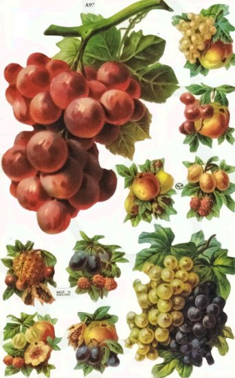 owoce - victoriangrapsandfruit1.jpg