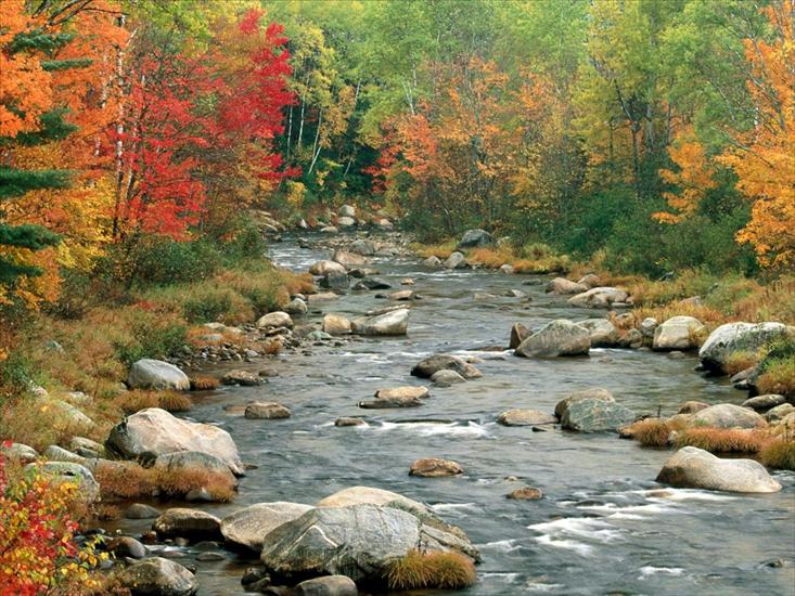 Jesień - Autumn Colors, White Mountains, New Hampshire1.jpg