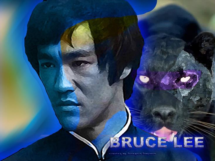 Tapety i Zdjecia z Bruce Lee - Bruce Lee 2.jpg