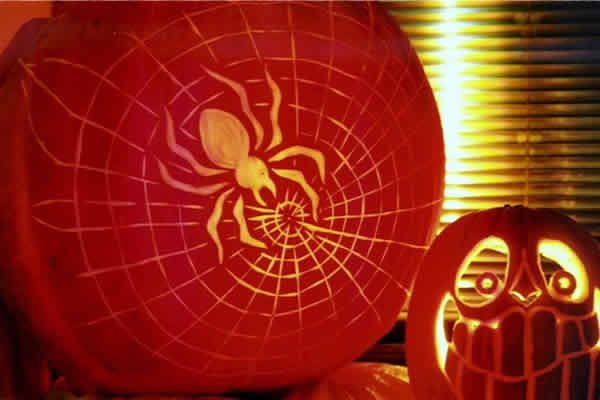 Pumpkin Carving Halloween - LCspider.jpg