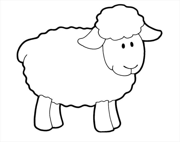 zwierzęta domowe, hodowlane - ToColor-Sheep01jo.jpg