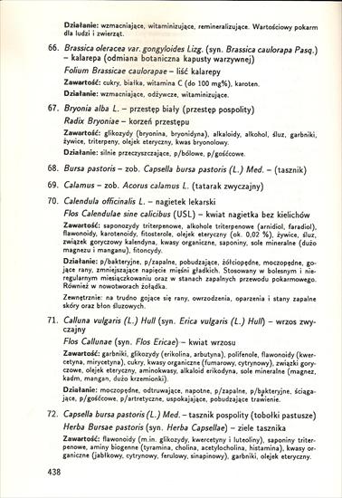 Alfabetyczny rejestr roślin leczniczych łacińsko - polski - skanuj0013.jpg