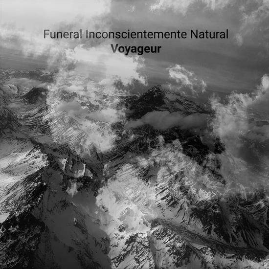 2019 - Voyageur - Cover.jpg