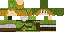 Skiny do minecrafta - png.png