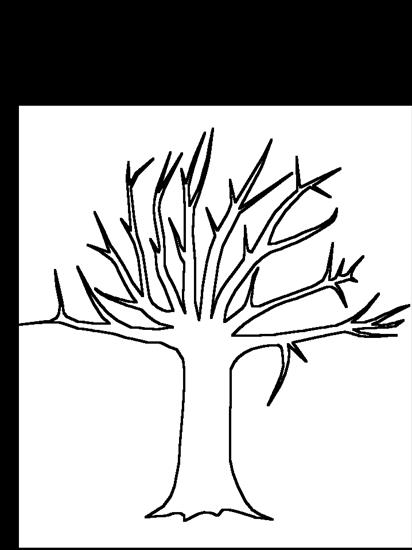 gatunki drzew i liści - drzewo.gif