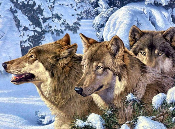 gify  zwierzęta - dogs zima.jpg