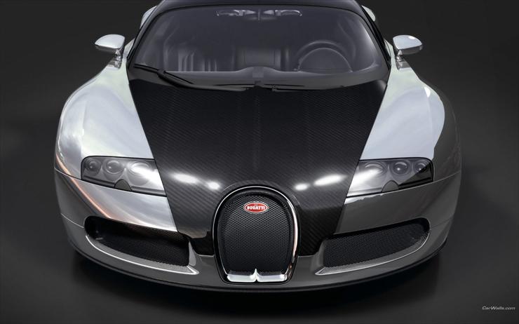 1280 x 800 - Bugatti_veryon-pur-sang_38_1280x800.jpg