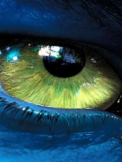Oczy - Avatar_Eye.jpg
