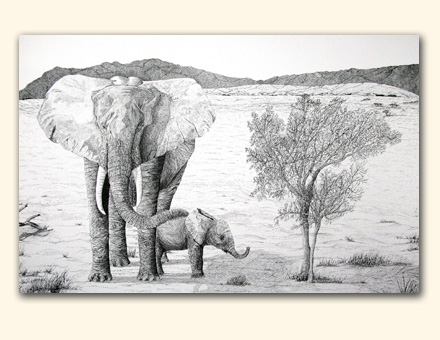 Elephants - 156.jpg