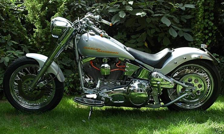 Harley - Harley Davidson FXST Custom 2.jpg