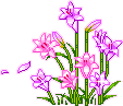 AA - małe - ładne - krabbels-bloemen-456993.gif