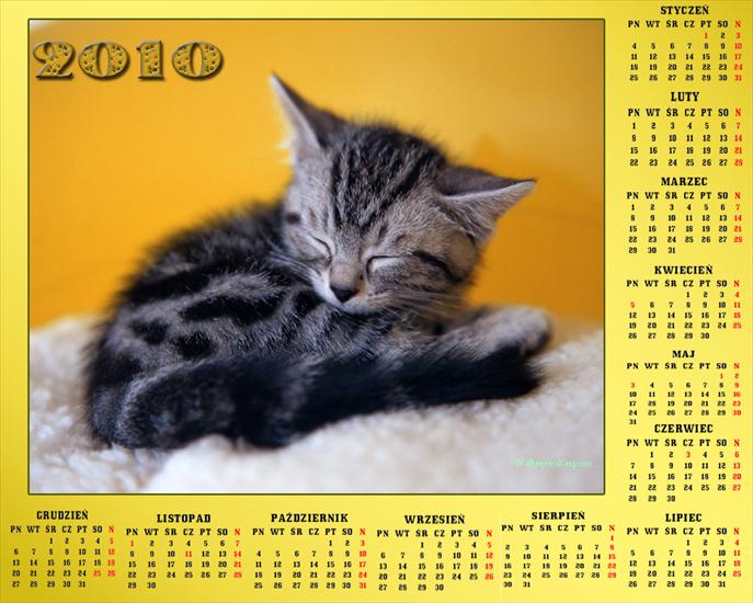 Kalendarze 2010 - anna37_37  MOJEGO WYKONANIA  28.jpg
