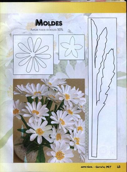 Kwiaty1 - 41.jpg