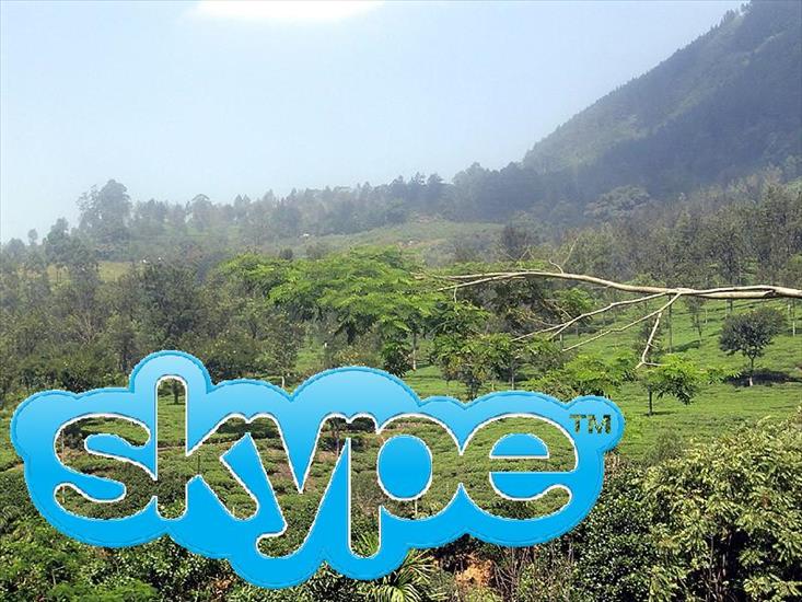 Gify - Awatar do skype skype pod gałęzią..JPG
