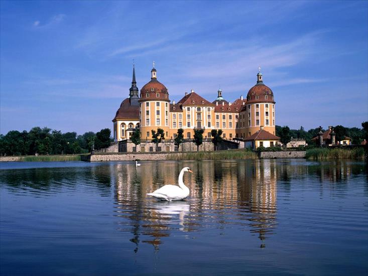 Zamki i palace - Moritzburg_Castle_near_Dresden,_Saxony,_Germany_1.jpg