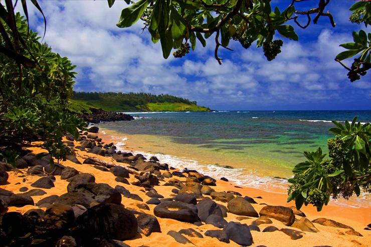 Tapety - Beach Shade, Moloaa, Kauai, Hawaii.jpg