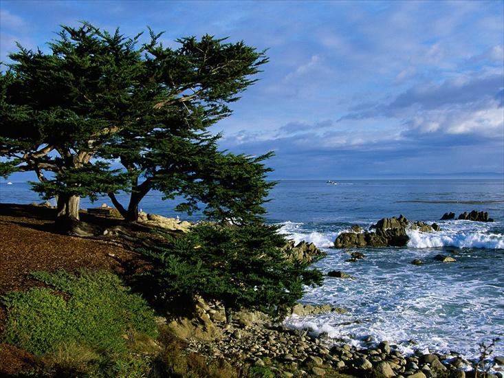 Stany Zjednoczone - Pacific Grove Coastline, California1600x1200.jpg