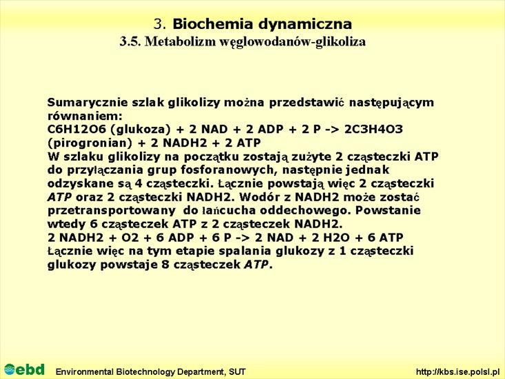 BIOCHEMIA 4- metabolizm tł, cukr, amino, Krebs - Slajd10.TIF