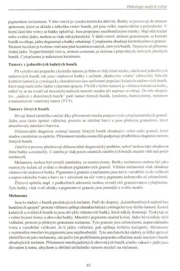 sbornk Onkologie malch zvat - 065.JPG