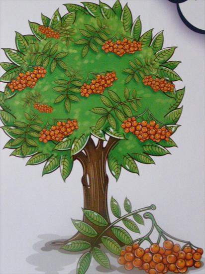drzewa i ich owoce - P8180879.JPG