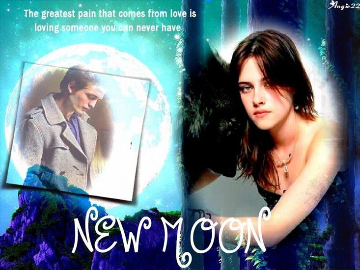 Bella  Edward - NM-the-twilight-saga-new-moon-5336621-1024-768 DesktopNexus.com.jpg