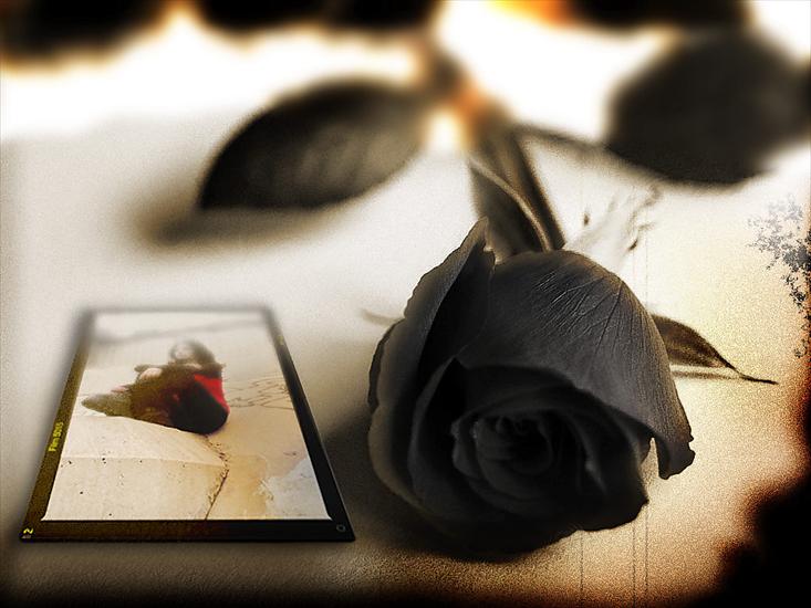 Róże - Black_rose_for_Goddes_of_tears_by_s.jpg