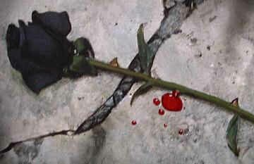 Czarna Róża - czarna róża i krwe.jpg
