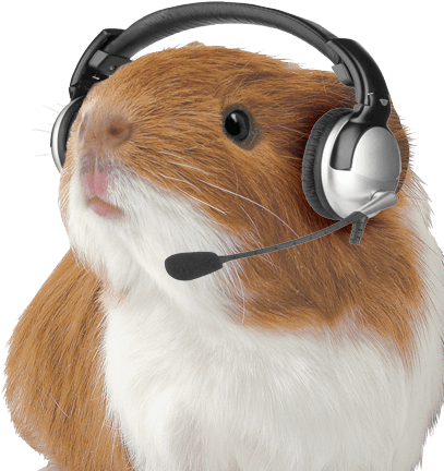 Ktoś 4 - 195-1952915_hamster-png-guinea-pig-with-headset.png