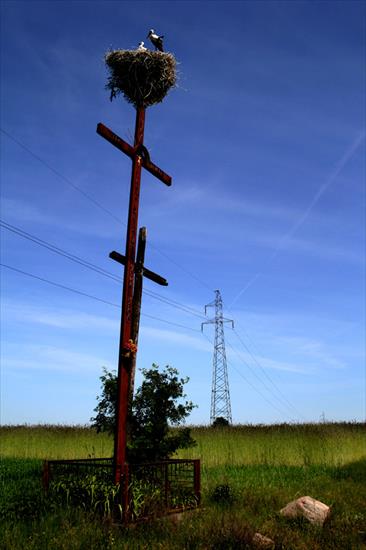 krzyże polskie - profan.jpg