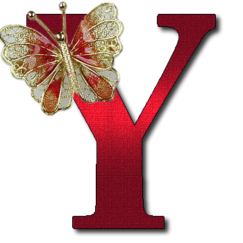 czerwone z broszką motyl - Y.png