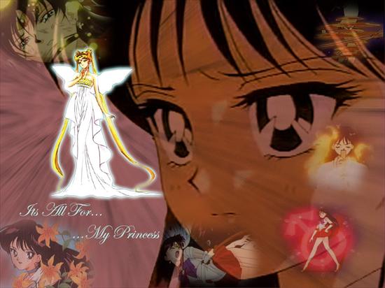 Rei Hino-Sailor Mars - Its all for my princess.jpg
