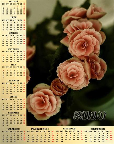 kalendarze 2010 - Bez nazwy 76.jpg