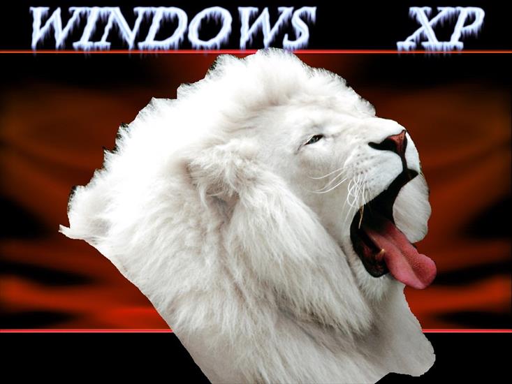 tapety windows xp - wallpapers_cool-1087.jpg