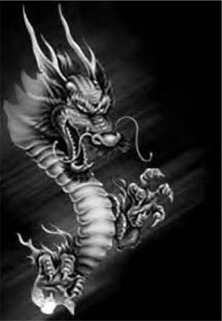 Tatuaze - dragon9.jpg