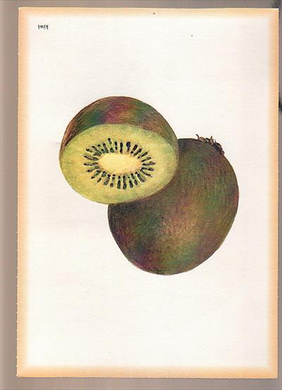Owoce, warzywa - kiwi1.jpg