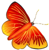 Motyle - butterfly002.png