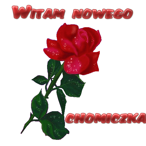 WITAM NOWEGO CHOMICZKA - Bez-nazwy-22.gif