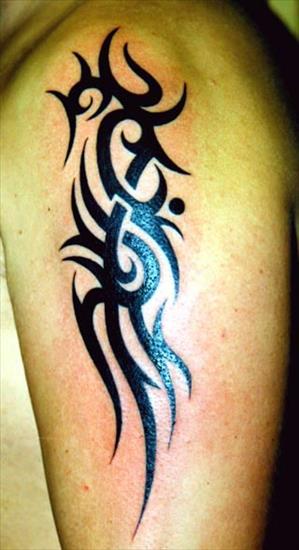 Tribale - Arm Tattoo 027.jpg