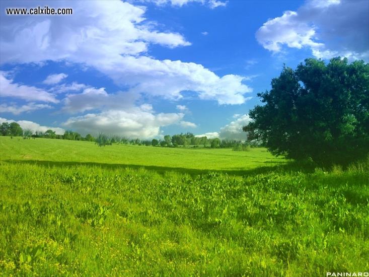 3D Landscape - nature.jpg