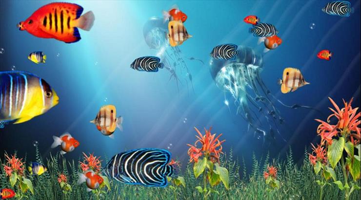 Okładki programów itp.Covers programs, etc. - Wonderful Tropical Fish In The Ocean Aquarium 3D Screensaver2.jpg