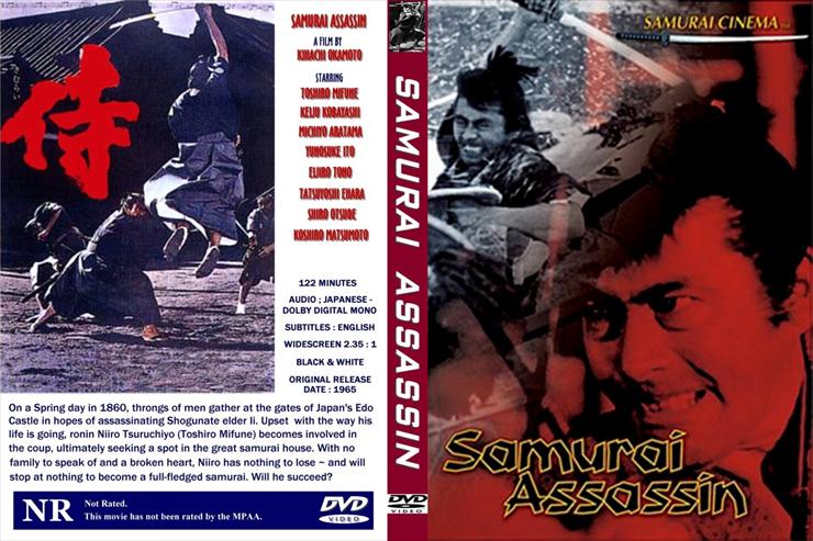 Filmy Sztuki Walki Karate - Samurai_Assassin1.jpg