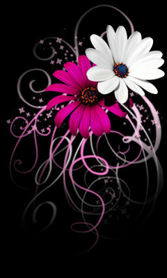 Tapetki 240x400 - Pink_Daisy_Curls.jpg