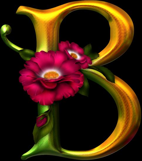 Abelarde Roses - B copy.png