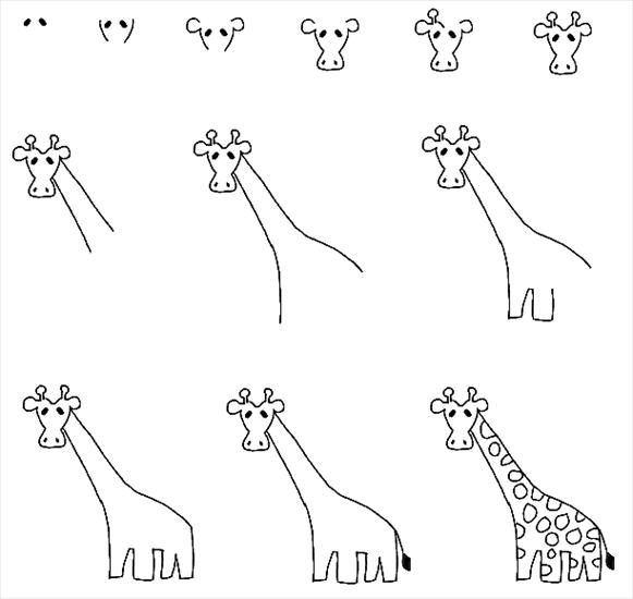 Jak narysować - nauka rysowania żyrafa.gif