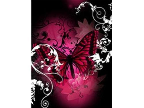 Motyle - czerwony_motyl.jpg