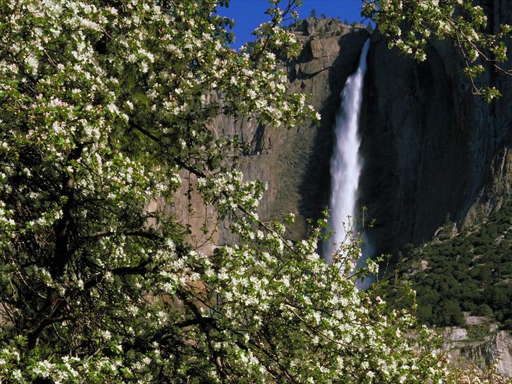 Krajobrazy - Upper Yosemite Falls in Spring, Yosemite National Park, California.jpg