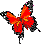 motyle,owady - 7829252.gif