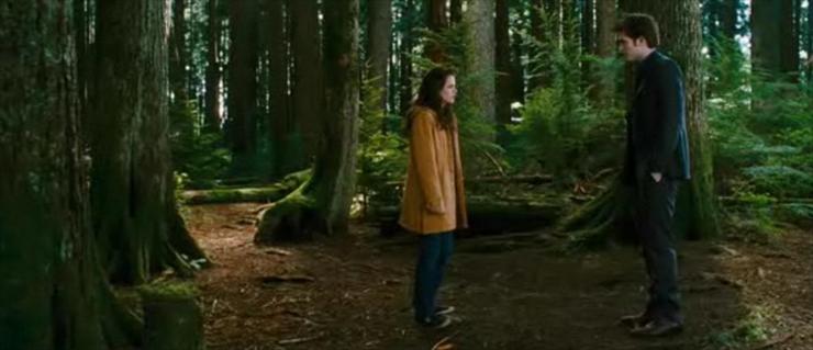 Galeria - New-Moon-Trailer-twilight-series-6494173-1186-512.jpg