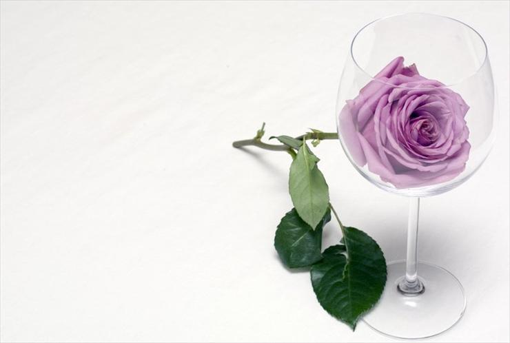 róże - Rose_and_wine_glass_by_the_farr.jpg