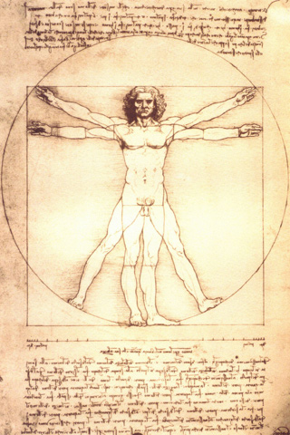 Dzieła sztuki Fine-Art - Human Proportions-Vitruvian Man, Leonardo da Vinc.jpg